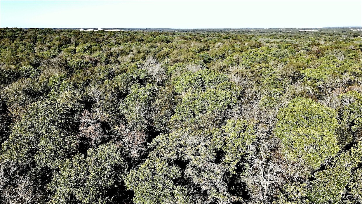 Elmendorf, Texas 78112, ,Land,Commercial Land - Unimproved,3453491