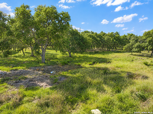 Fm 3351, Boerne, Texas 78006, 0 , 0 ,0,Commercial Land,Commercial Land/unimprvd,Fm 3351,0,1998289